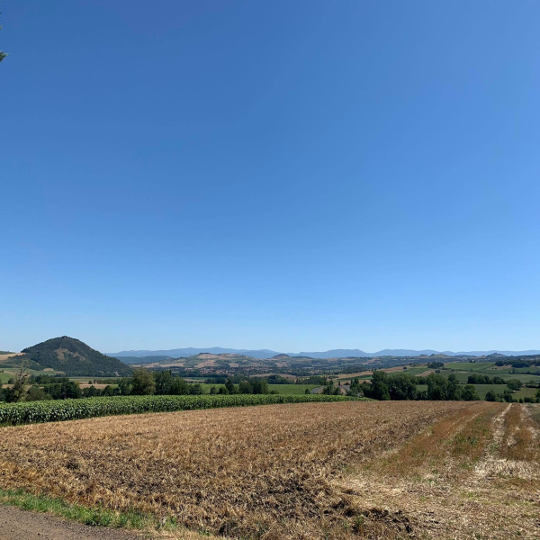 Offres de vente Terrain Saint-Julien-de-Coppel 63160